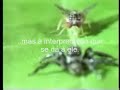 Como pessoas comuns se tornam extraordinárias