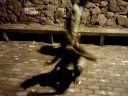 DANÇA NO CRUZEIRO