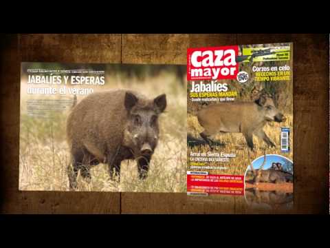 Revistas+ DVD Federcaza y Caza Mayor julio Revistas+ DVD Federcaza y Caza Mayor julio