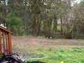 Honda CR125 CR 125 Riding Nice 2 stroke POWER!!!!!