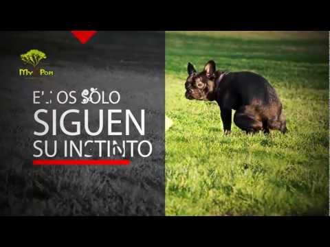 Imagen de previsualización de YouTube