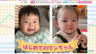 動画のサムネイル
