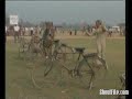 Cow Jumping Bikes