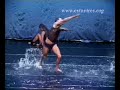 El Influjo de los Pensamientos - Estantres Danza