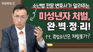 소년범죄변호사가 알려주는 촉법소년 등 미성년자 처벌, 완벽정리! [속성과외法 EP3] 형사전문 이승우 변호사