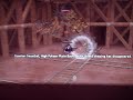 Mabinogi G2: The Final Fight (Part 1)