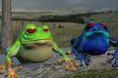 Frog Song