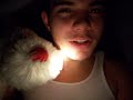 Under the Covers