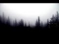 Video screenshot