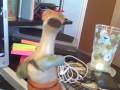 videos de 2008-12-25 16 53 46