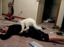 Koon Humped 2