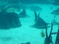 Bahamas