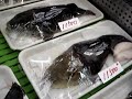 Baiacu (fugu)