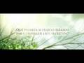  - MovieZen Video