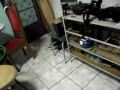 Shuyo na casa do Duh (Excursão pela Favela)