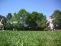 Taiji Bailong Ball Multiplay