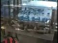 Line splitter, divider for bottles during packaging Autopack