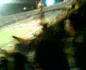 GOL (REBEL VS DIABLAS) 4tos