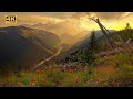 BEAUTIFUL NATURE WITH RELAXING MUSIC L 4K NATURE L 4K ULTRA ..