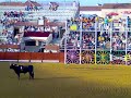 Mi pueblo de La Algaba
