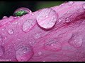 kenny g   in the rain