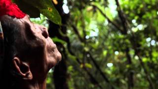 Pohon Tua- #SiapaLagiKalauBukanKita