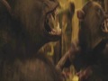 Werewolf Transformation Cursed