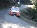 Tour de corse 2008 Bettega in rimonta su Solberg H.