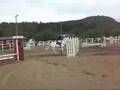 videos de Njurunda rf 2/8