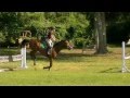 Teddy- FOR SALE
