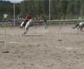 pony games -paires 2008- open finale A 2eme partie pony games -paires 2008- open finale A 2eme partie