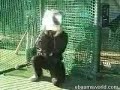 Bucket head Bucket head