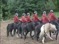 Showprogramm Isländer Showprogramm Isländer