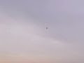 avion thender trainer par d�butant total!en l\