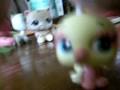 lps dance party