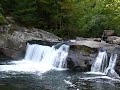 Tellico