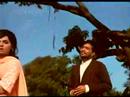 yeh reshmi zulfein   mohammad rafi