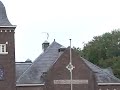 Hybride valk een loer gedraaid Hybride valk een loer gedraaid