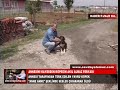 ANNES?N? KAYBEDEN KÖPE??N AKIL ALMAZ FERYADI... ANNES?N? KAYBEDEN KÖPE??N AKIL ALMAZ FERYADI...