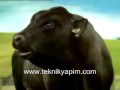 Yayınlanmayan Toyota Reklamı