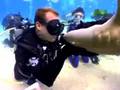 Shark Bites Diver