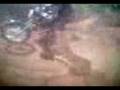 videos de beto gardenal