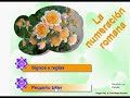 Numeraci�n Romana