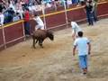 vaquilla pilla a fran (vol.2.)