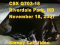 csx trash train with a nice horn and doppler effect