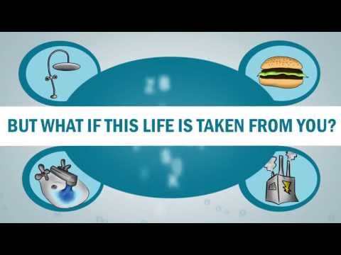 how to avoid water pollution