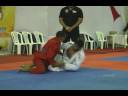 João Ribeiro x Alberto Freitas by X-COMBAT