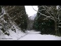 Christmas Wish - STACIE ORRICO