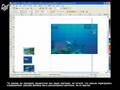 CorelDRAW Видеоурок Рекламный плакат