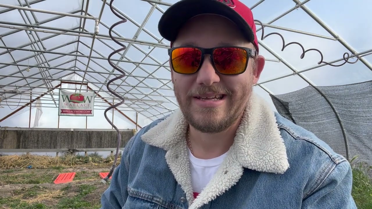 I am alive! November Update.